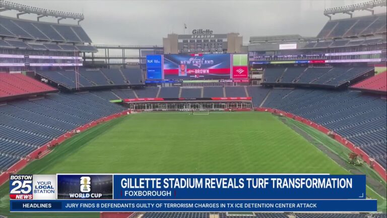 ‘It looks like a proper soccer stadium’: Revs players excited about new grass field for World Cup